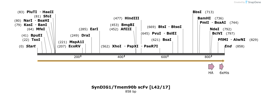 412767_map