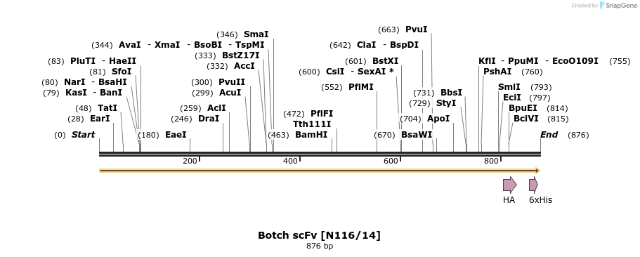 412769_map
