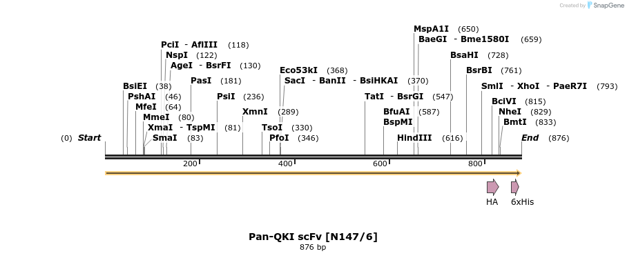 412770_map
