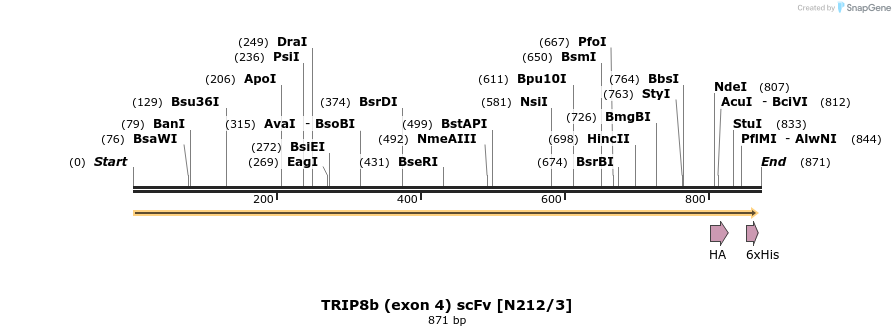 412772_map