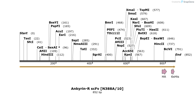 412774_map