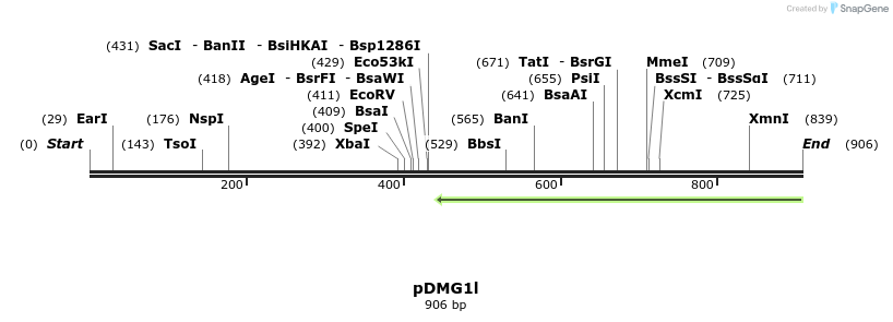 41281_map