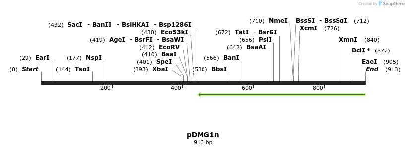 41284_map