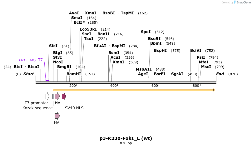 41289_map