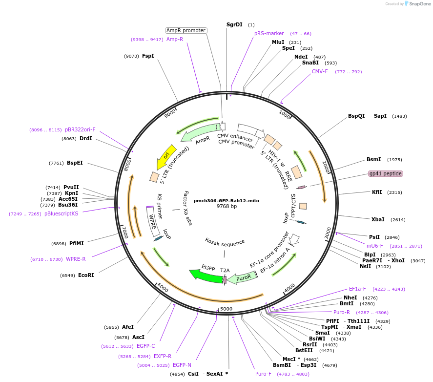 412903_map