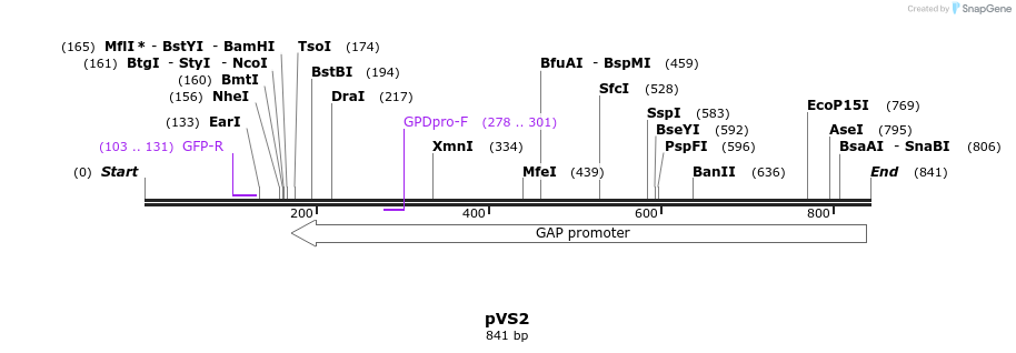 41296_map