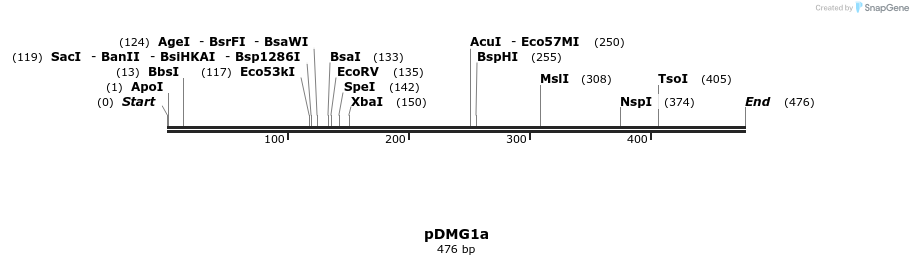 41297_map