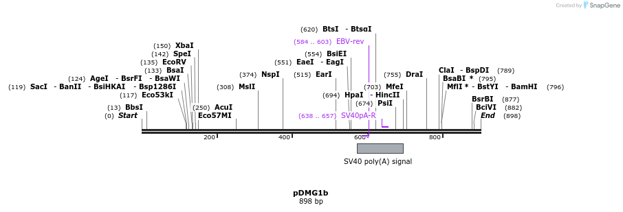 41298_map