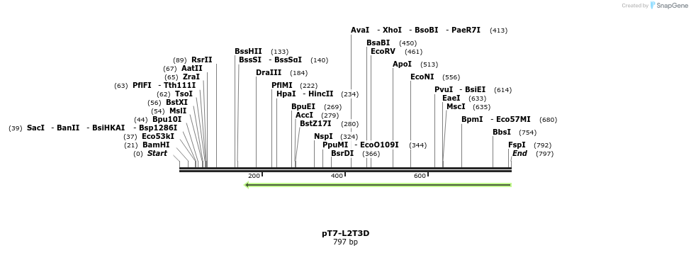 41300_map