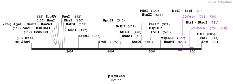 41301_map