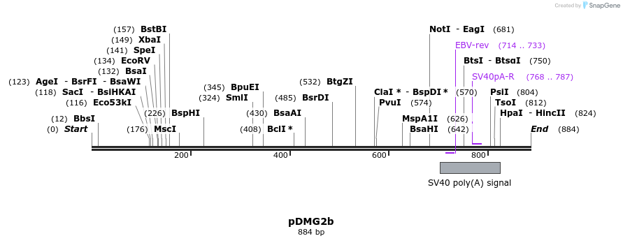 41302_map