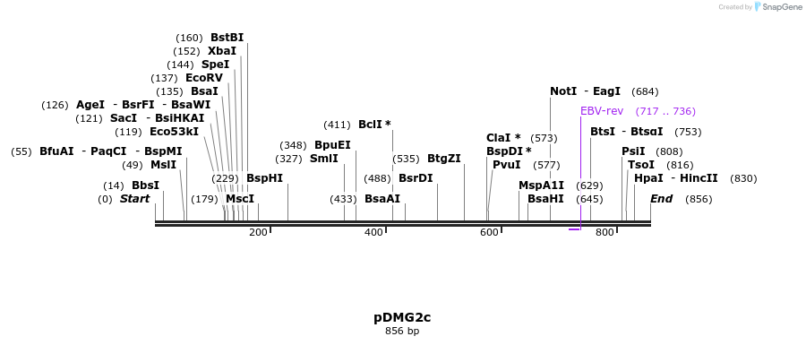 41303_map