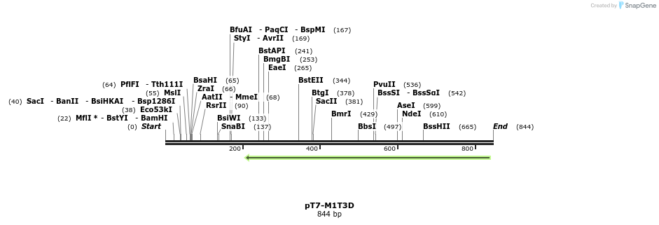 41305_map