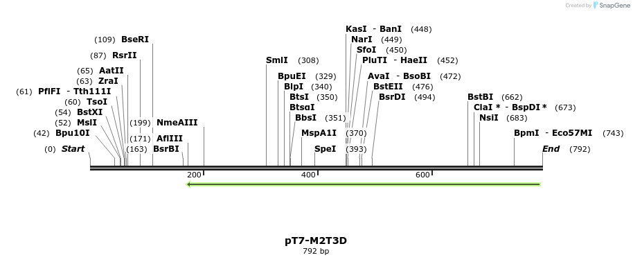 41306_map