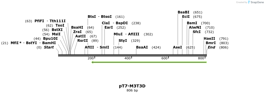 41307_map
