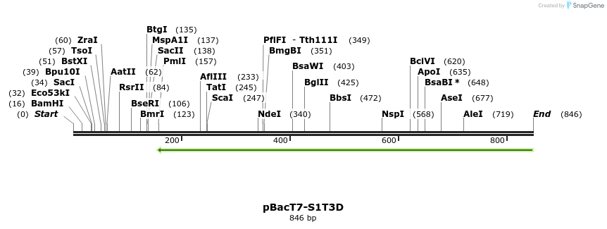 41308_map