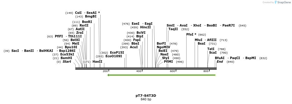 41310_map