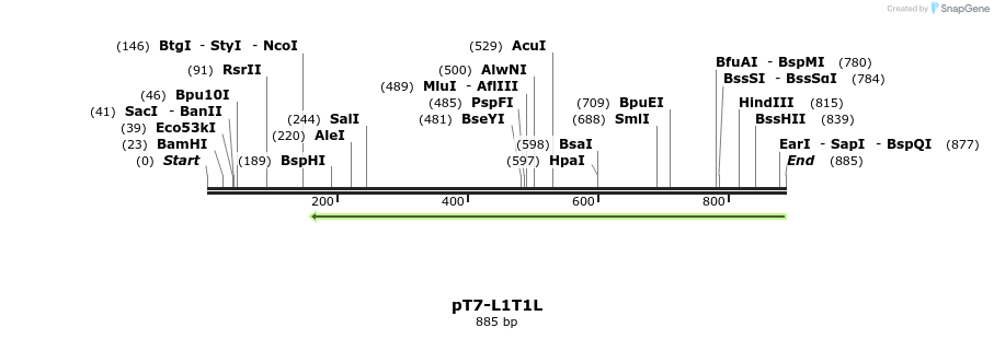 41311_map
