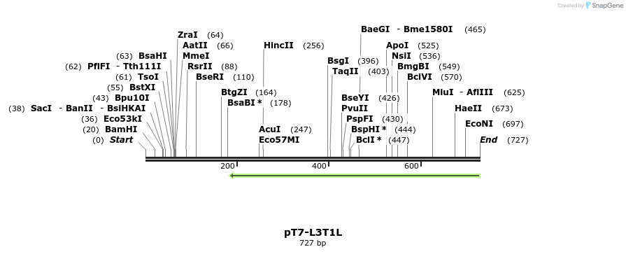 41312_map