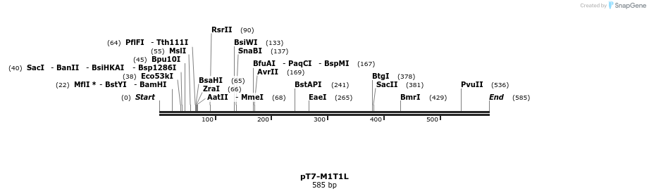 41313_map