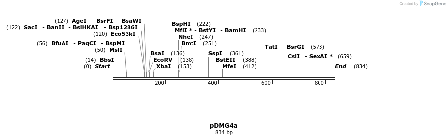 41318_map