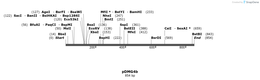 41319_map