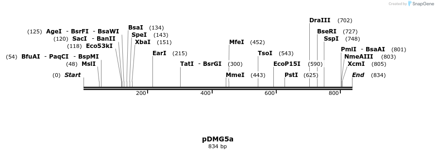 41321_map