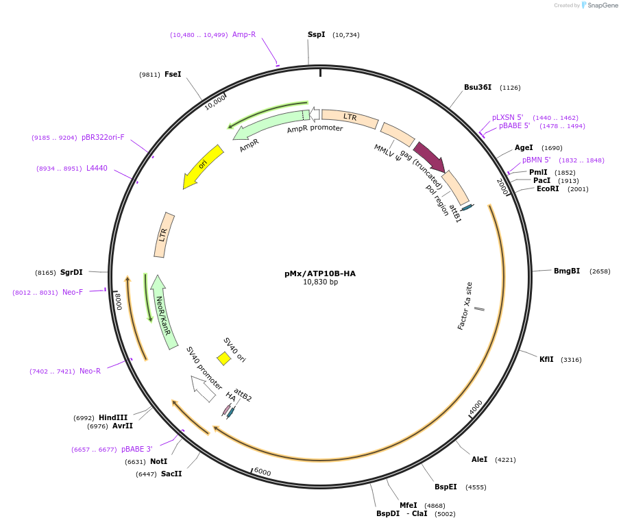 413230_map