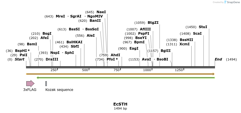 413301_map