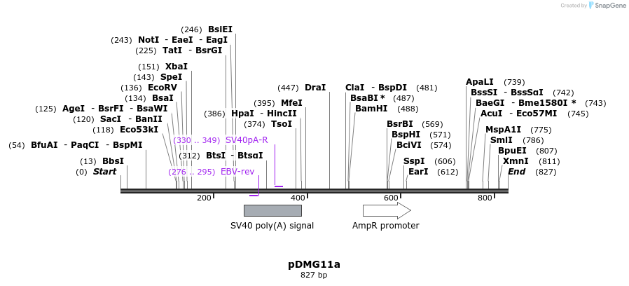 41341_map
