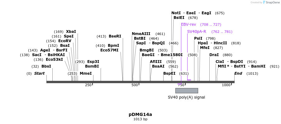 41350_map