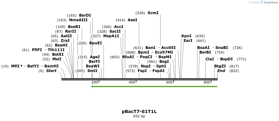 41351_map
