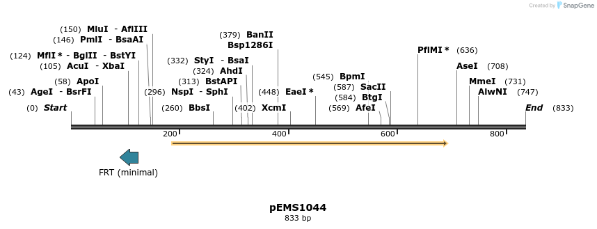 41352_map