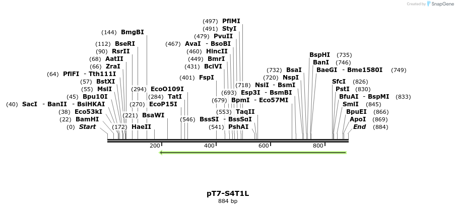 41356_map