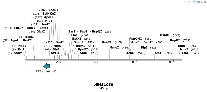 41365_map