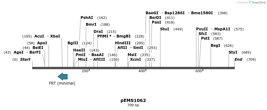 41369_map