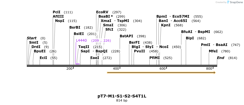 41370_map