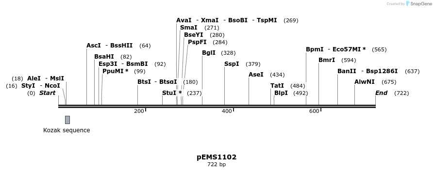 41373_map