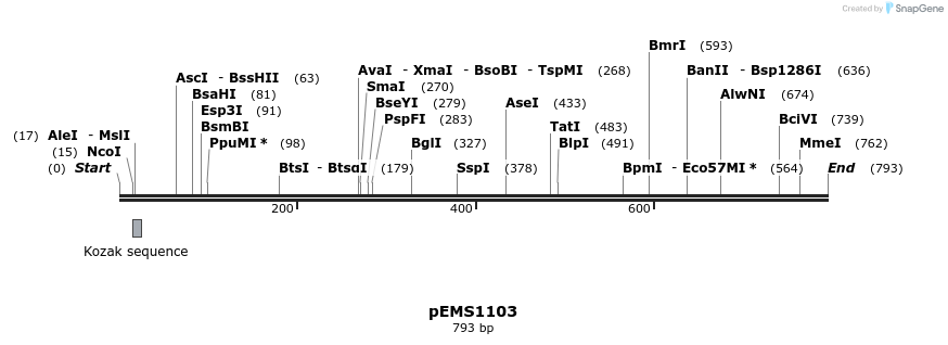 41374_map