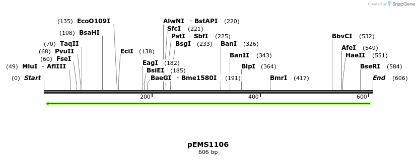 41375_map