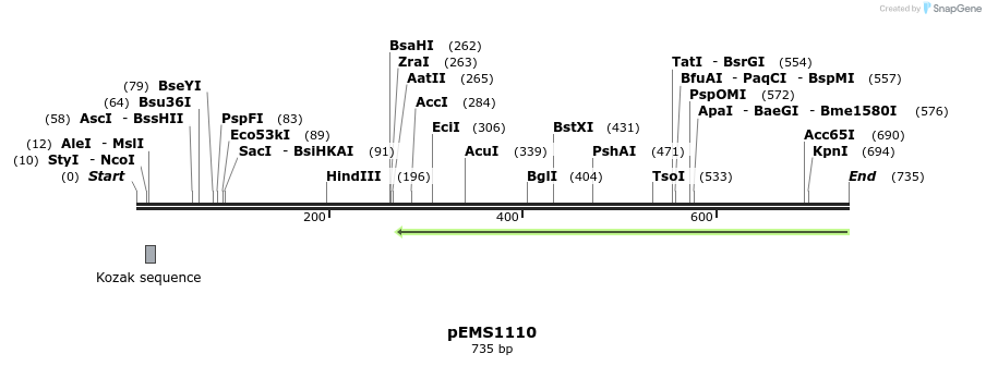 41379_map