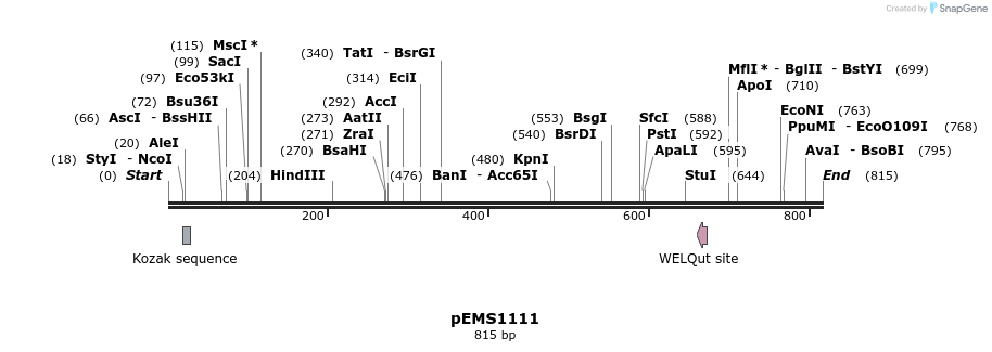 41380_map