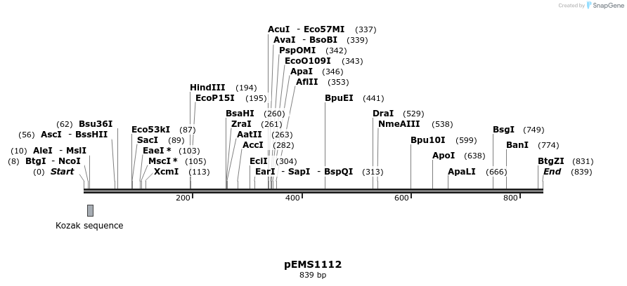 41383_map