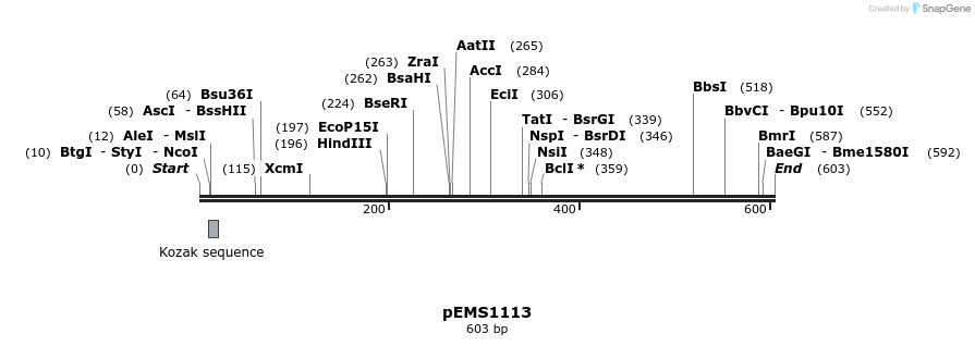 41384_map