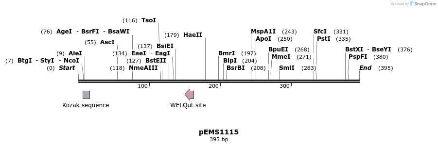41389_map