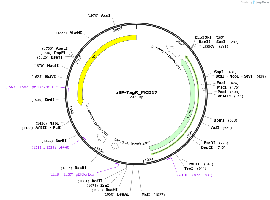 413901_map