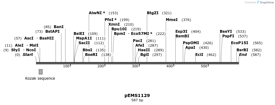 41391_map