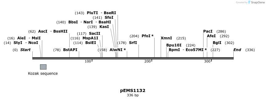 41393_map