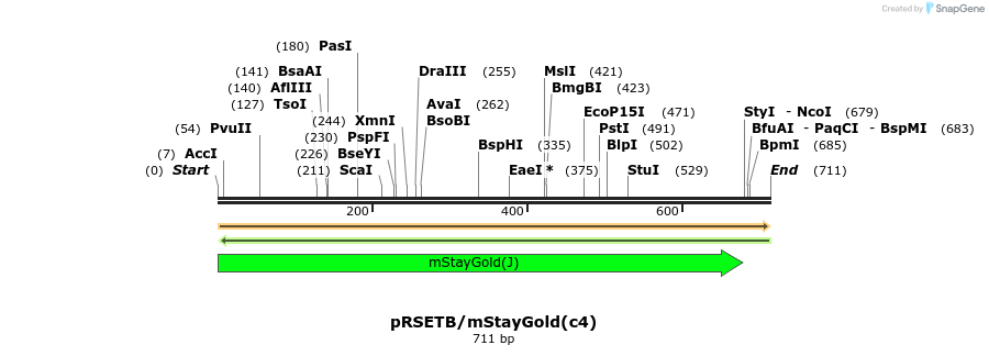 413964_map
