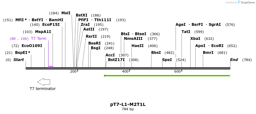 41401_map
